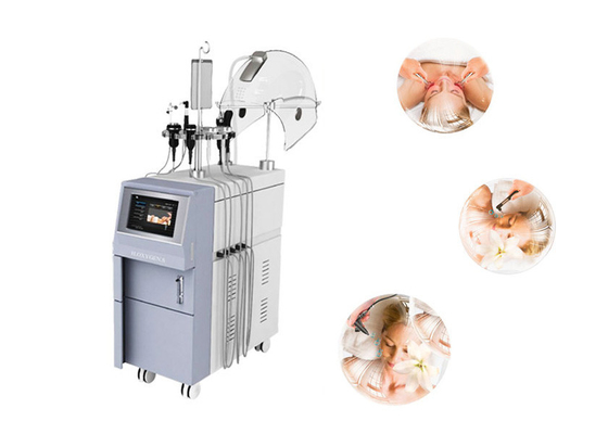 Macchina del Facial dell'ossigeno di rf, macchina multifunzionale di bellezza dell'ossigeno