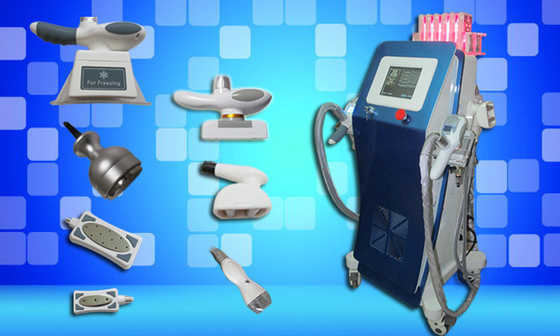 Cryo che congela il peso dell'attrezzatura del laser Lipo perde la macchina domestica di bellezza