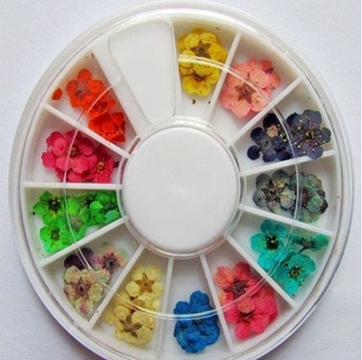I fiori secchi asciugano la progettazione acrilica delle decorazioni di arte del chiodo